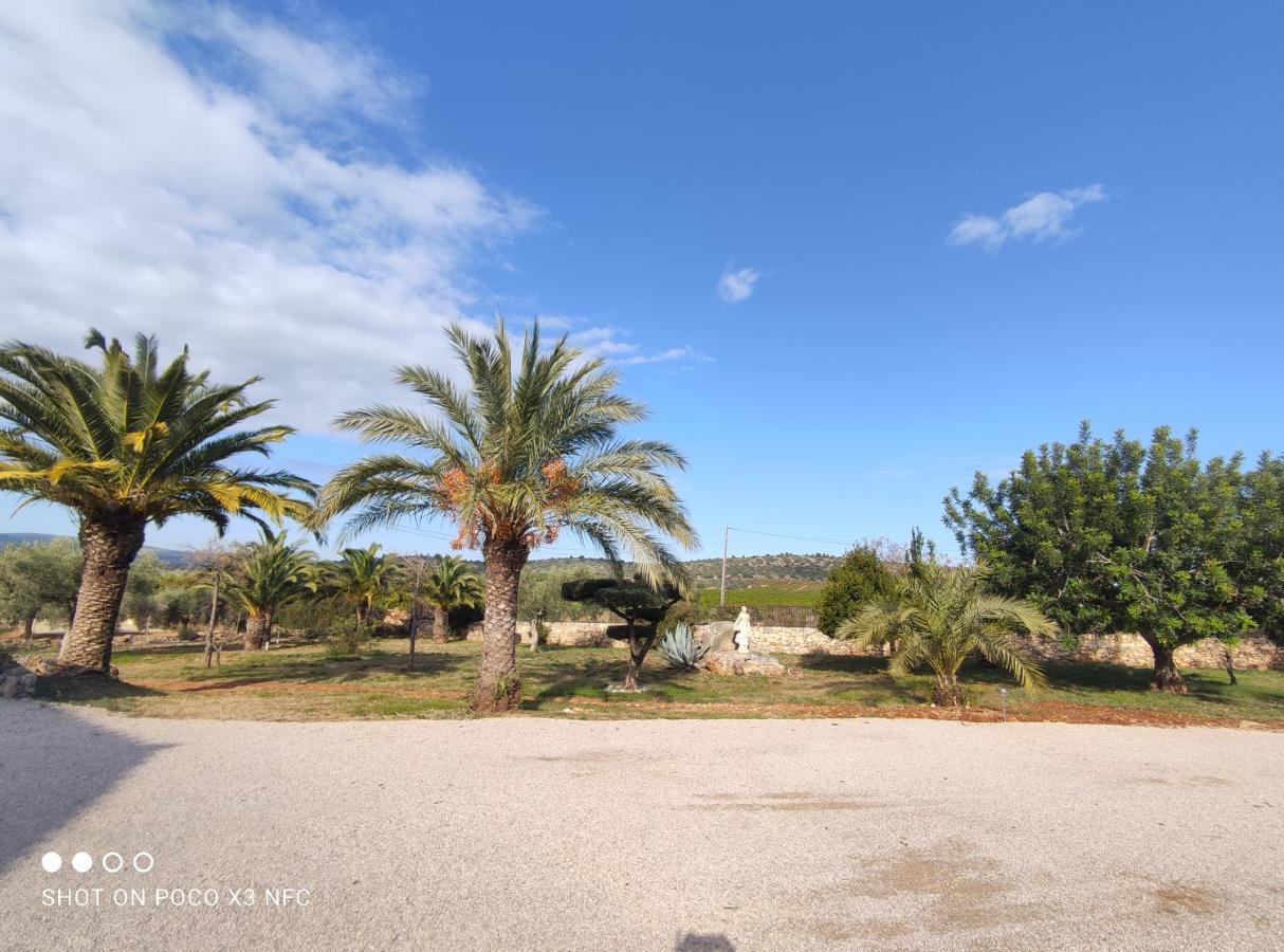 Finca Tierra Roja Calig ภายนอก รูปภาพ
