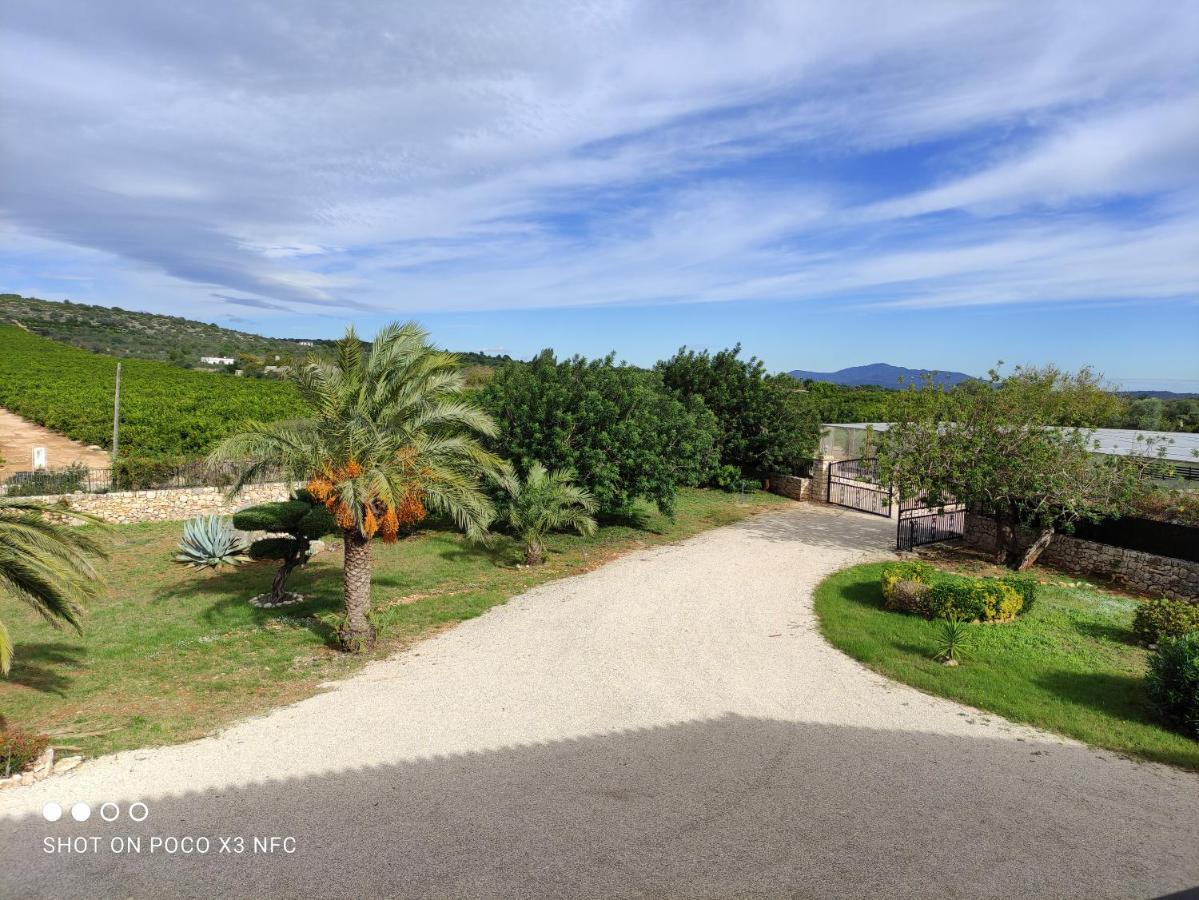 Finca Tierra Roja Calig ภายนอก รูปภาพ